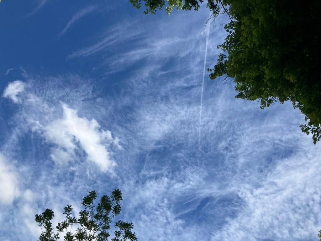 Fragments of Sky