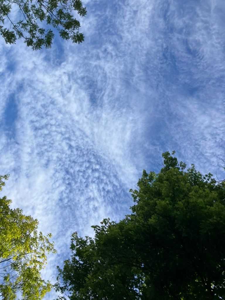 Fragments of Sky photo 3