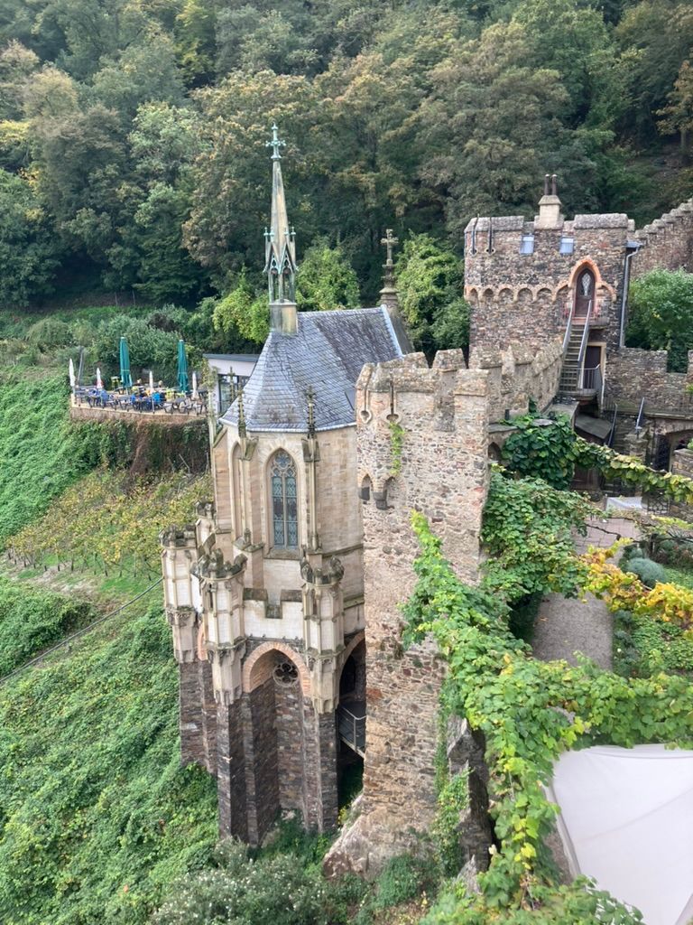 Along the Rhine photo 4