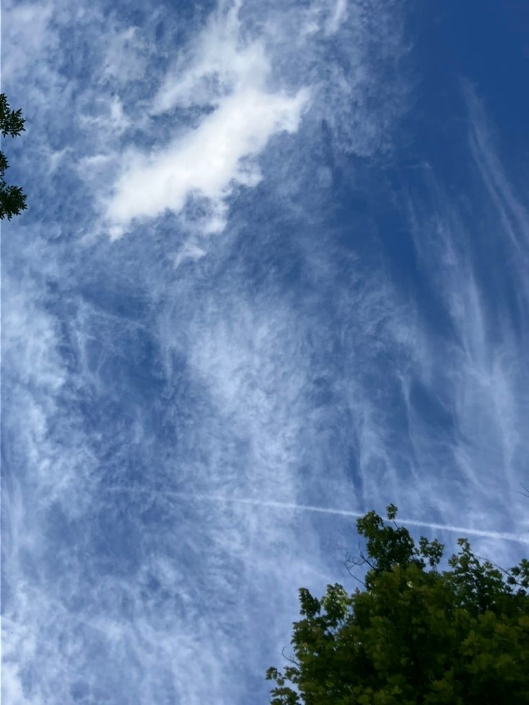 Fragments of Sky photo 4