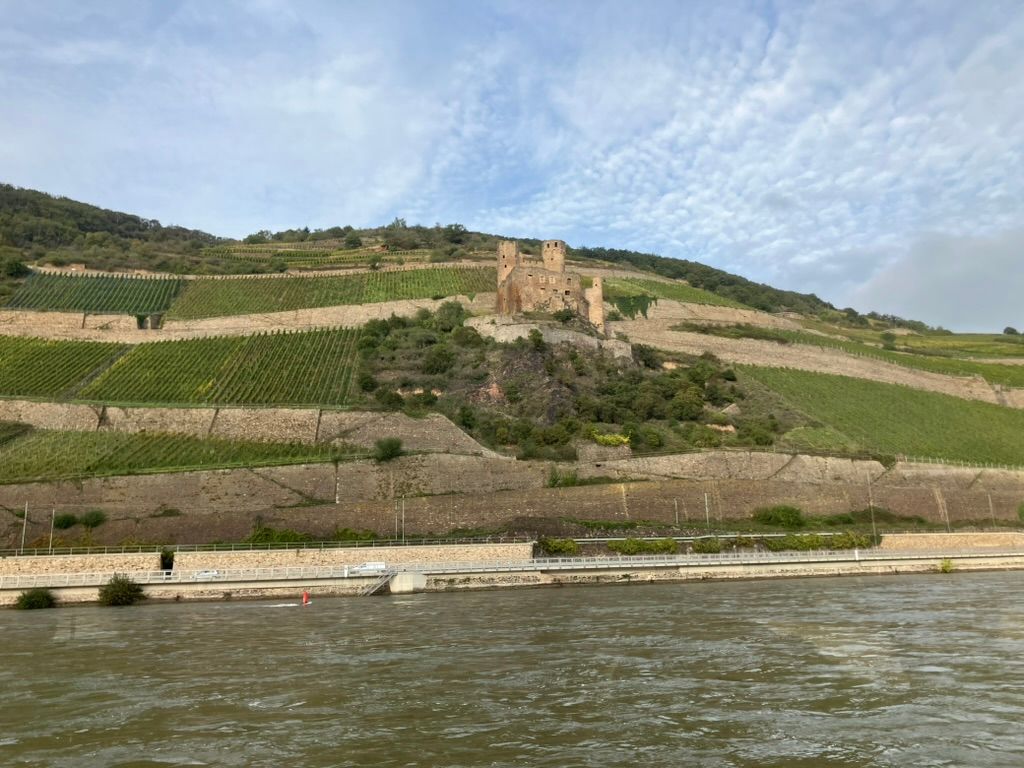 Along the Rhine photo 5