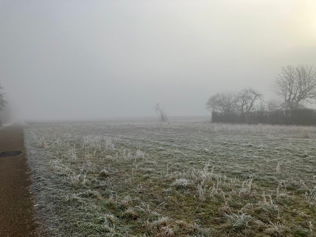 Mannheim, January 2025
