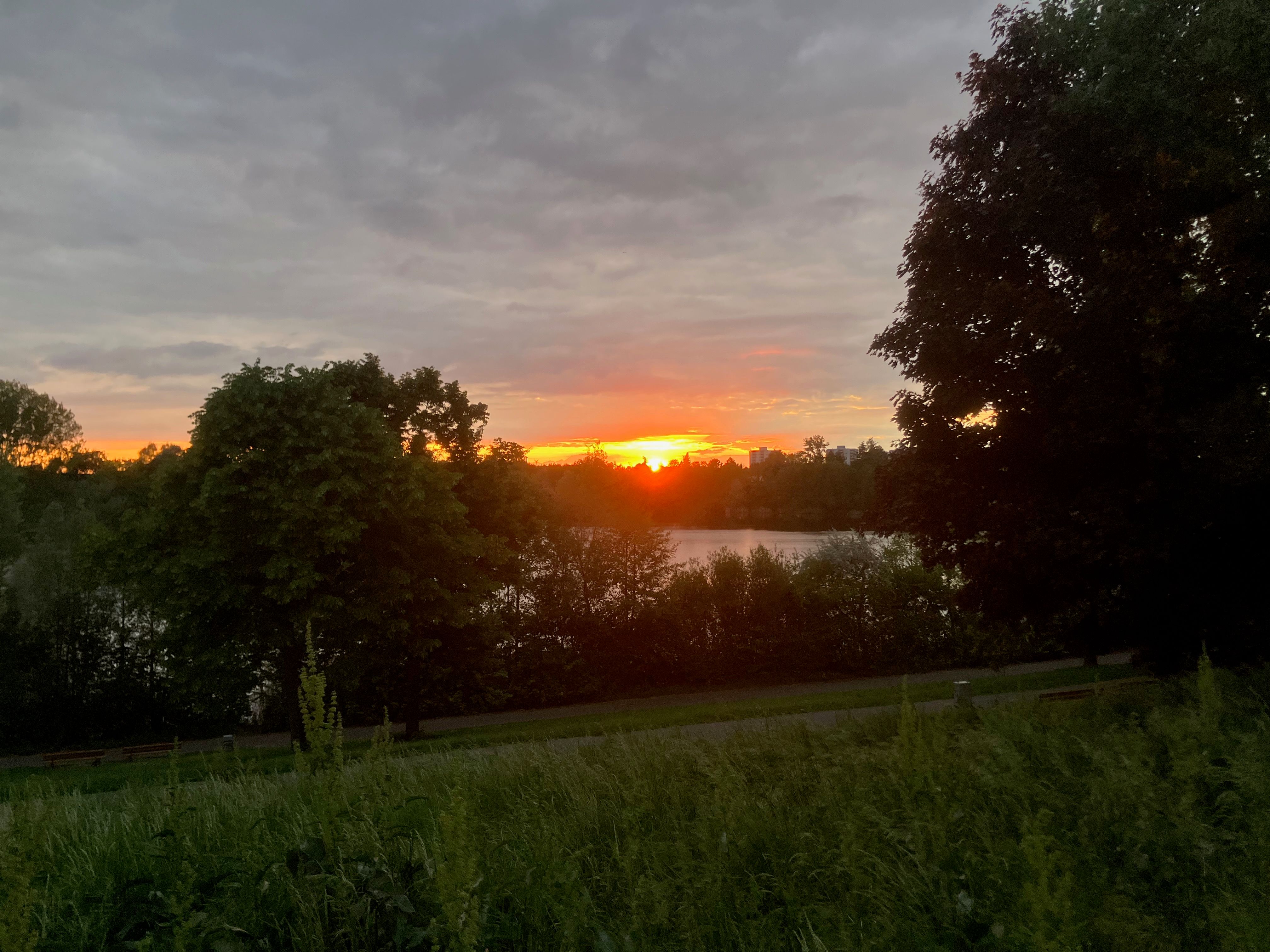 Mannheim, May 2025