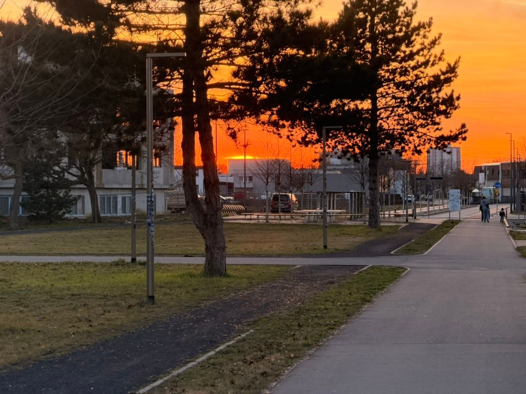 Mannheim, February 2026